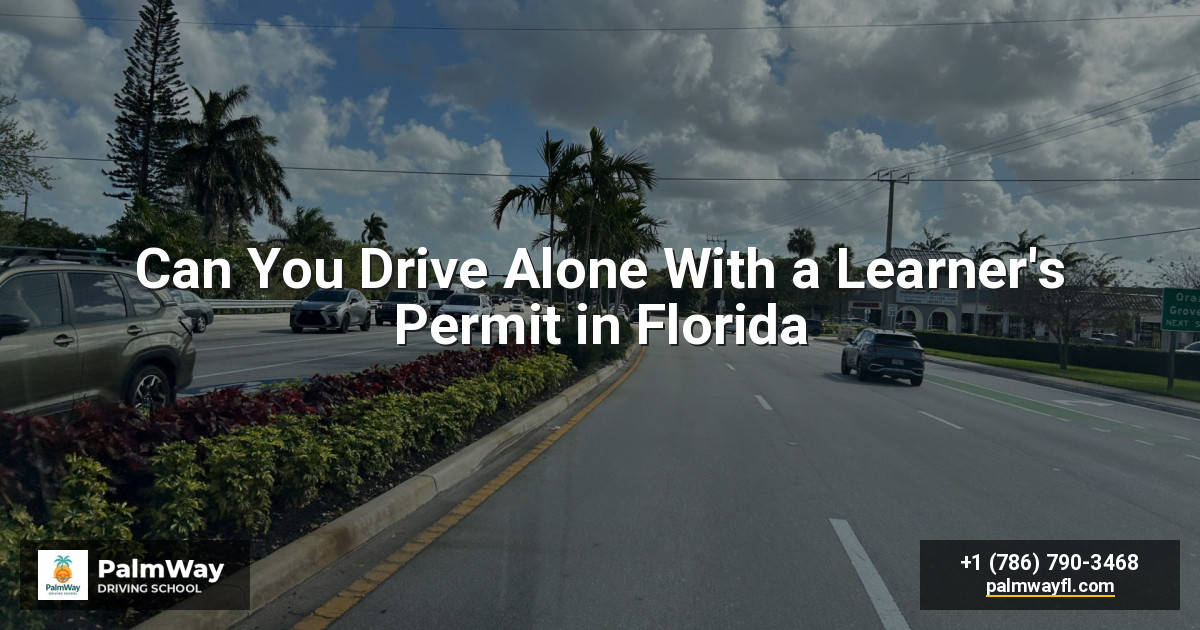 Can You Drive Alone With a Learner's Permit in Florida