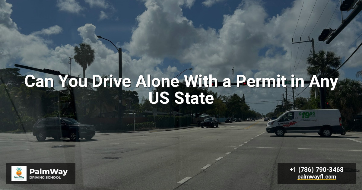 Can You Drive Alone With a Permit in Any US State
