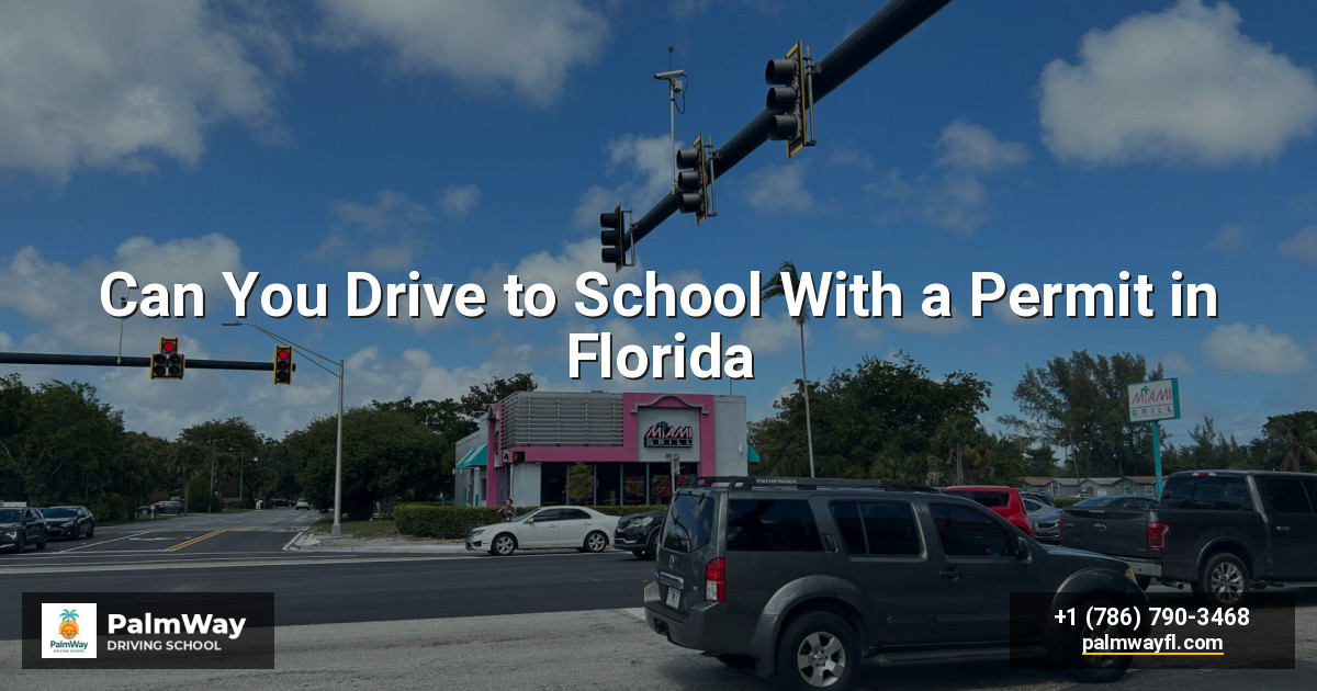 Can You Drive to School With a Permit in Florida