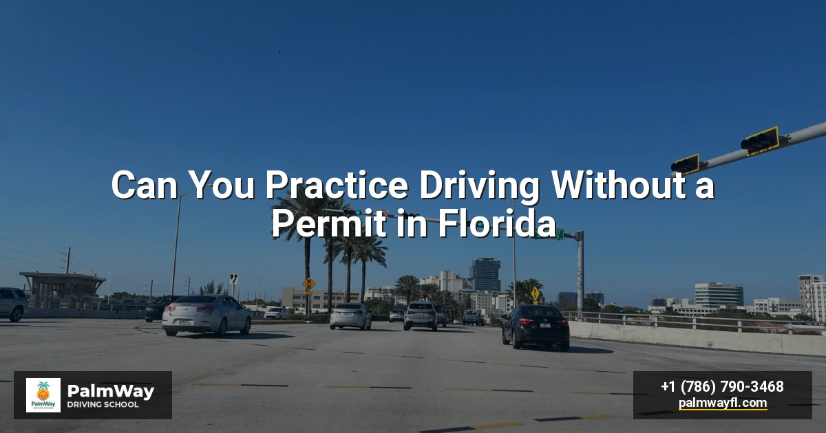 Can You Practice Driving Without a Permit in Florida