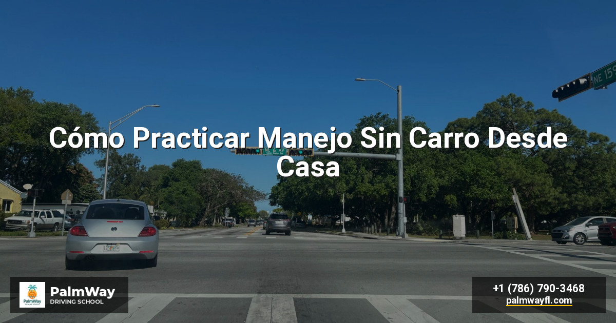 Cómo Practicar Manejo Sin Carro Desde Casa