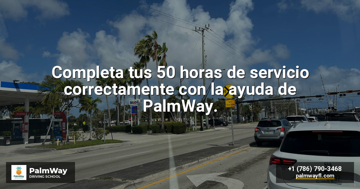 Completa tus 50 horas de servicio correctamente con la ayuda de PalmWay.