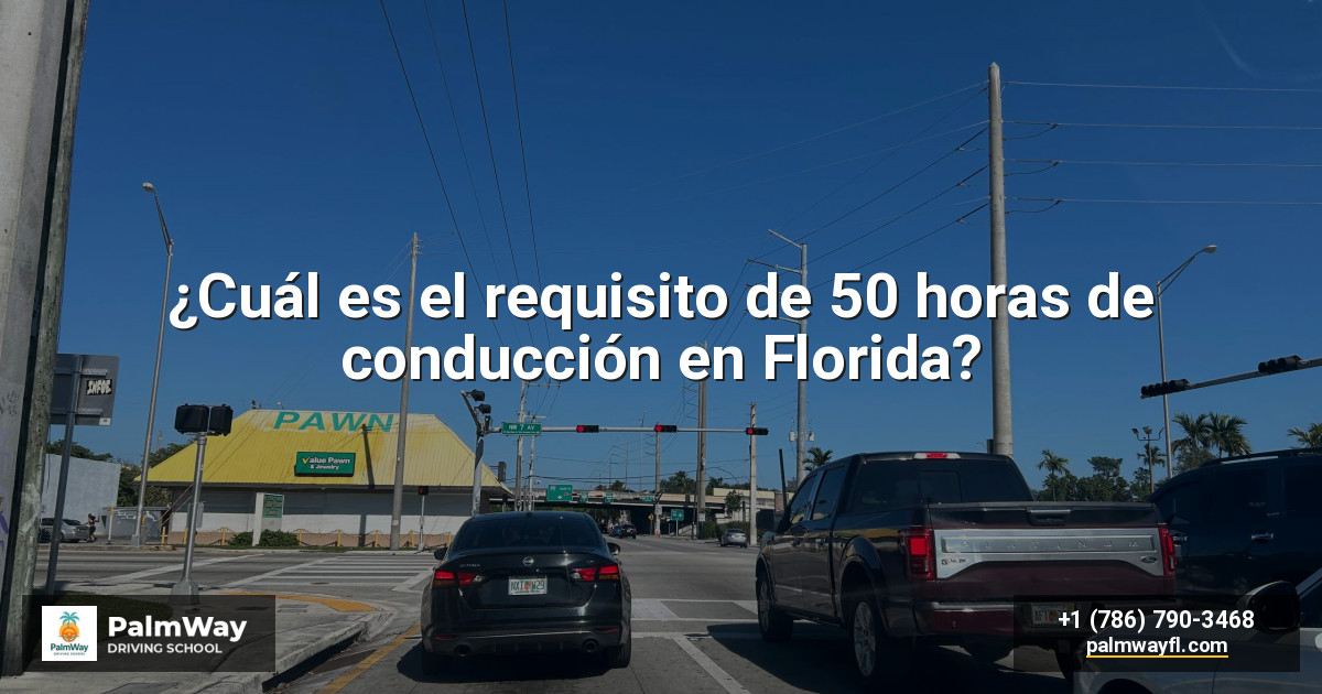 ¿Cuál es el requisito de 50 horas de conducción en Florida?