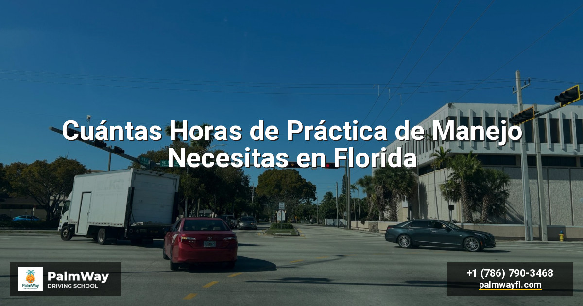 Cuántas Horas de Práctica de Manejo Necesitas en Florida