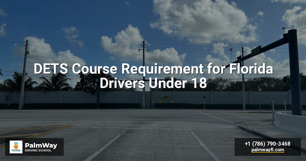 DETS Course Requirement for Florida Drivers Under 18