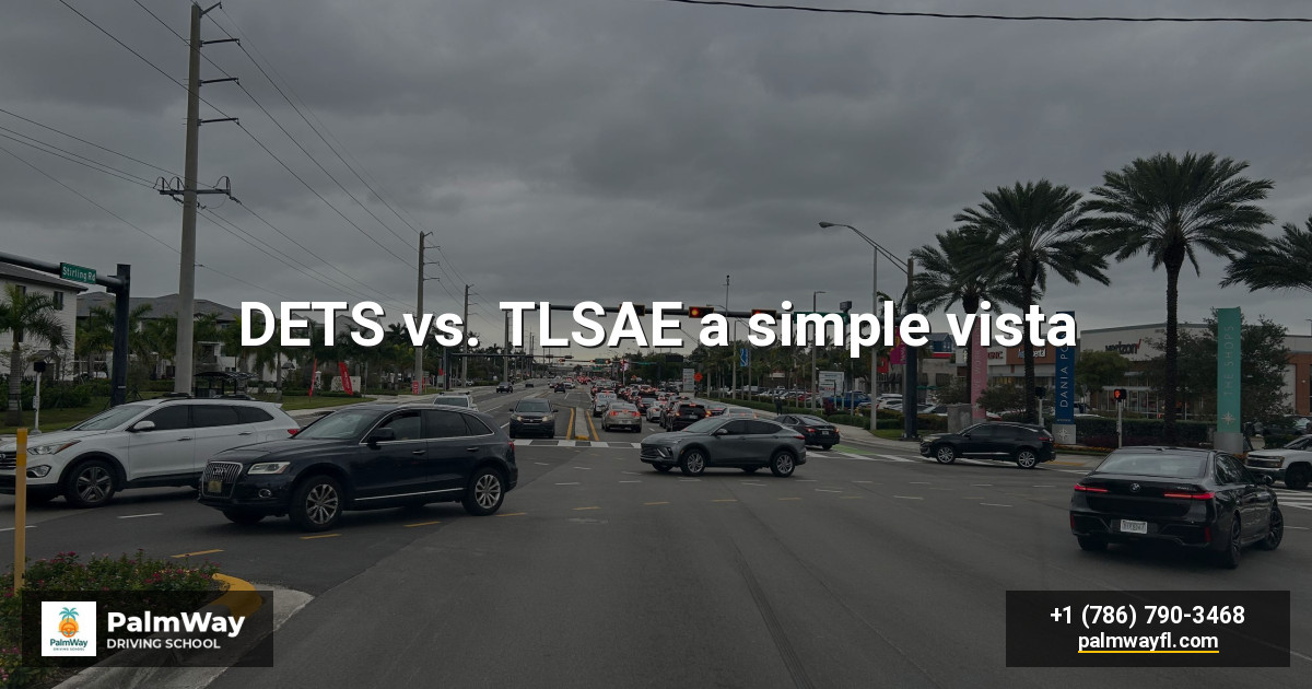 DETS vs. TLSAE a simple vista