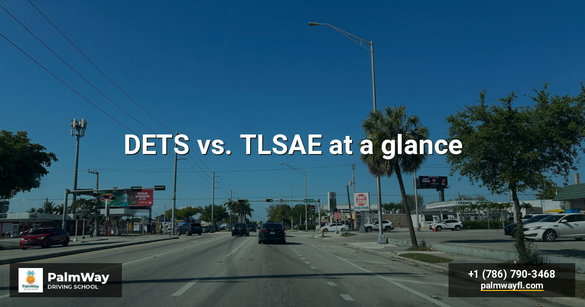 DETS vs. TLSAE at a glance