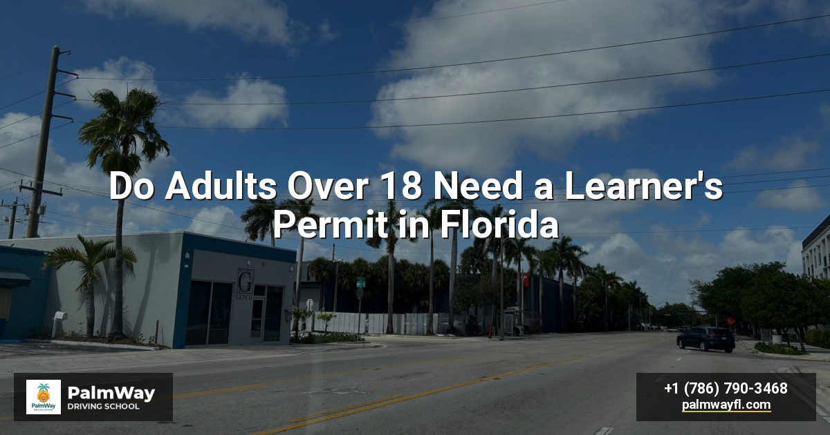 Do Adults Over 18 Need a Learner's Permit in Florida