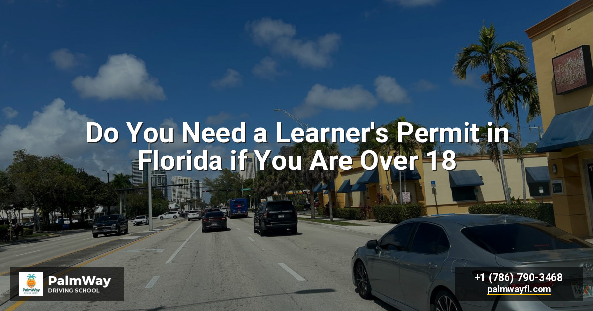 Do You Need a Learner's Permit in Florida if You Are Over 18