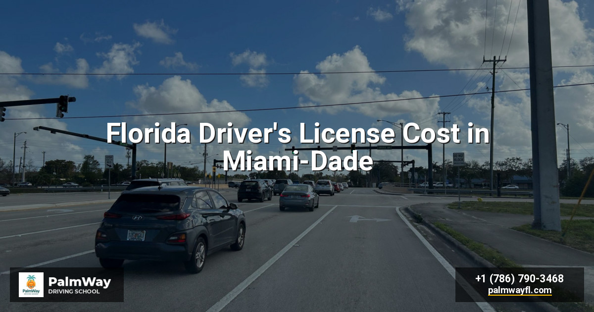 Florida Driver's License Cost in Miami-Dade