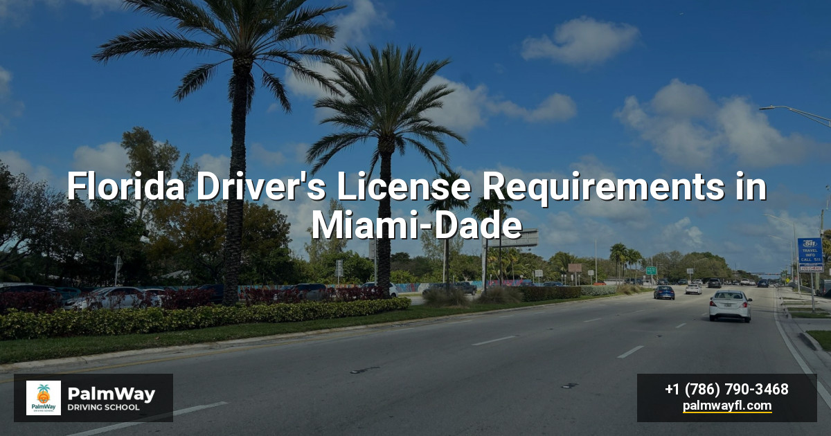 Florida Driver's License Requirements in Miami-Dade