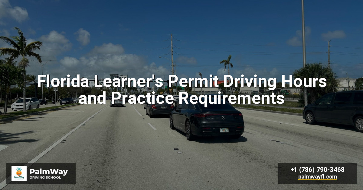 Florida Learner's Permit Driving Hours and Practice Requirements