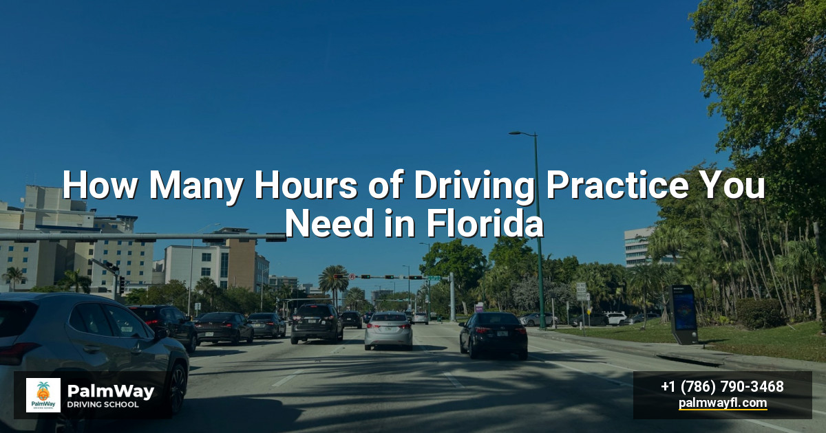How Many Hours of Driving Practice You Need in Florida