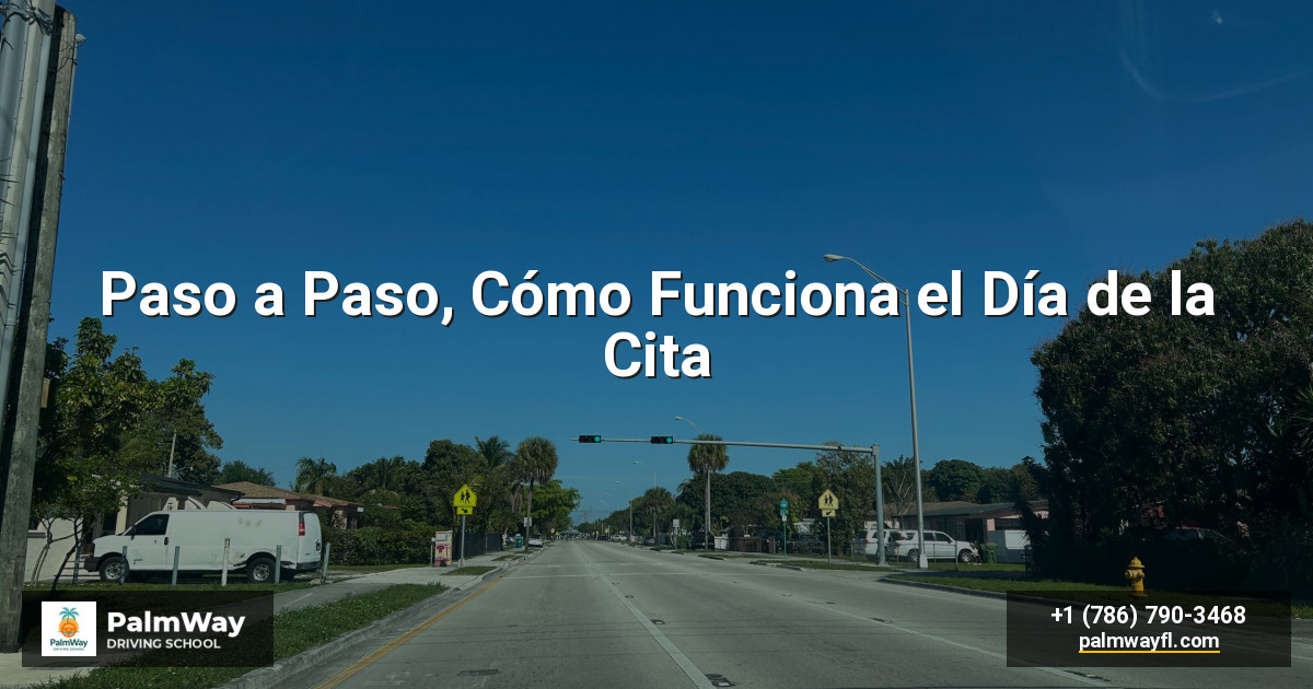 Paso a Paso, Cómo Funciona el Día de la Cita
