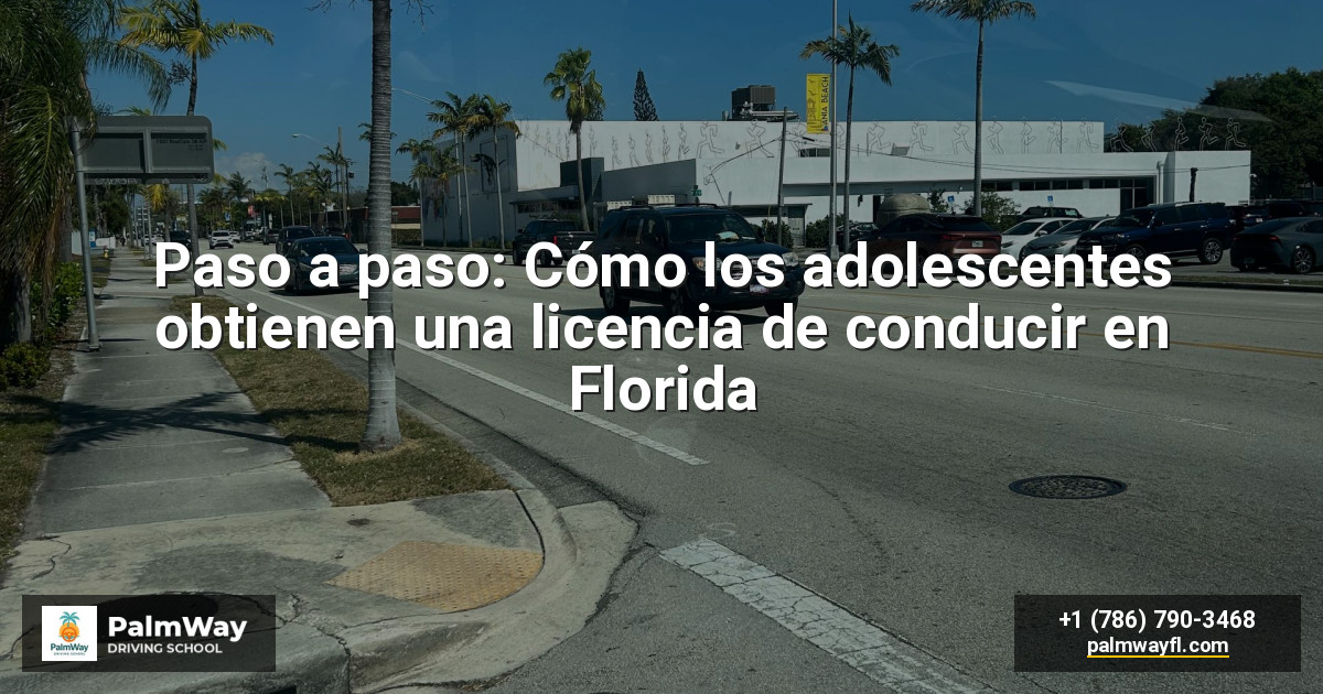 Paso a paso: Cómo los adolescentes obtienen una licencia de conducir en Florida