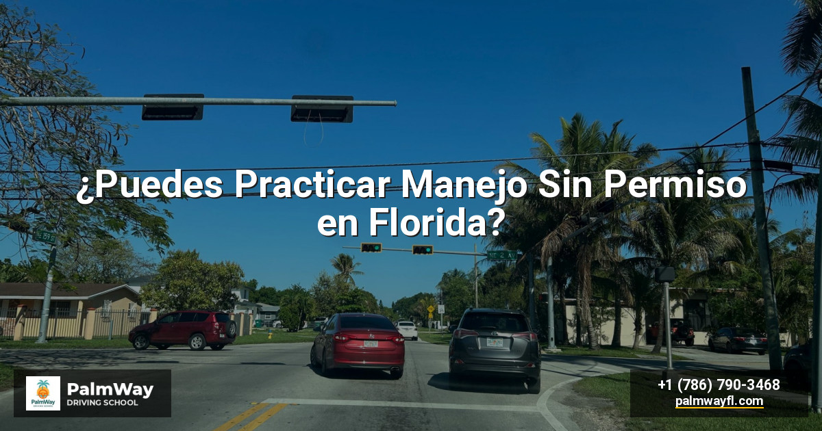 ¿Puedes Practicar Manejo Sin Permiso en Florida?