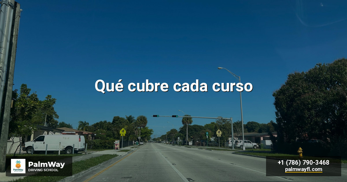 Qué cubre cada curso