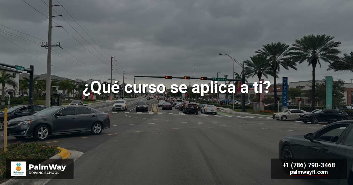 ¿Qué curso se aplica a ti?