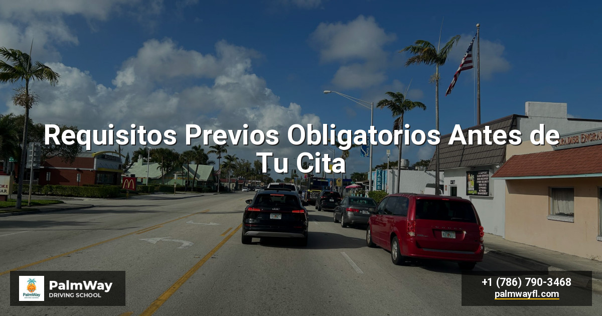 Requisitos Previos Obligatorios Antes de Tu Cita