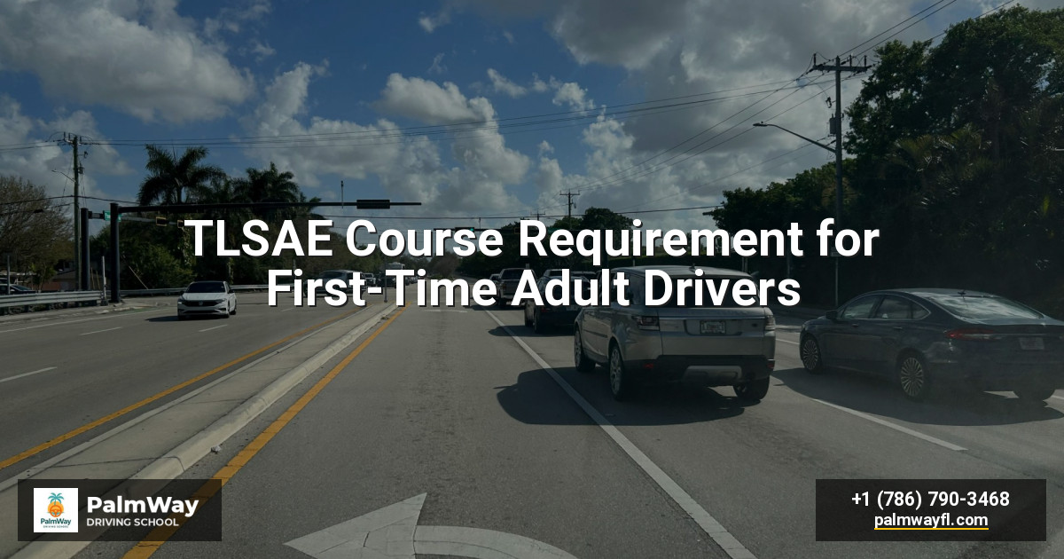 TLSAE Course Requirement for First-Time Adult Drivers