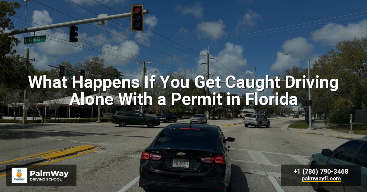 What Happens If You Get Caught Driving Alone With a Permit in Florida