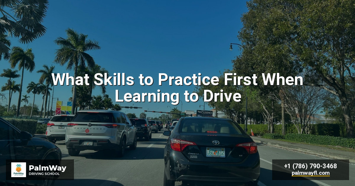 What Skills to Practice First When Learning to Drive