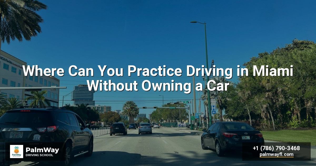 Where Can You Practice Driving in Miami Without Owning a Car