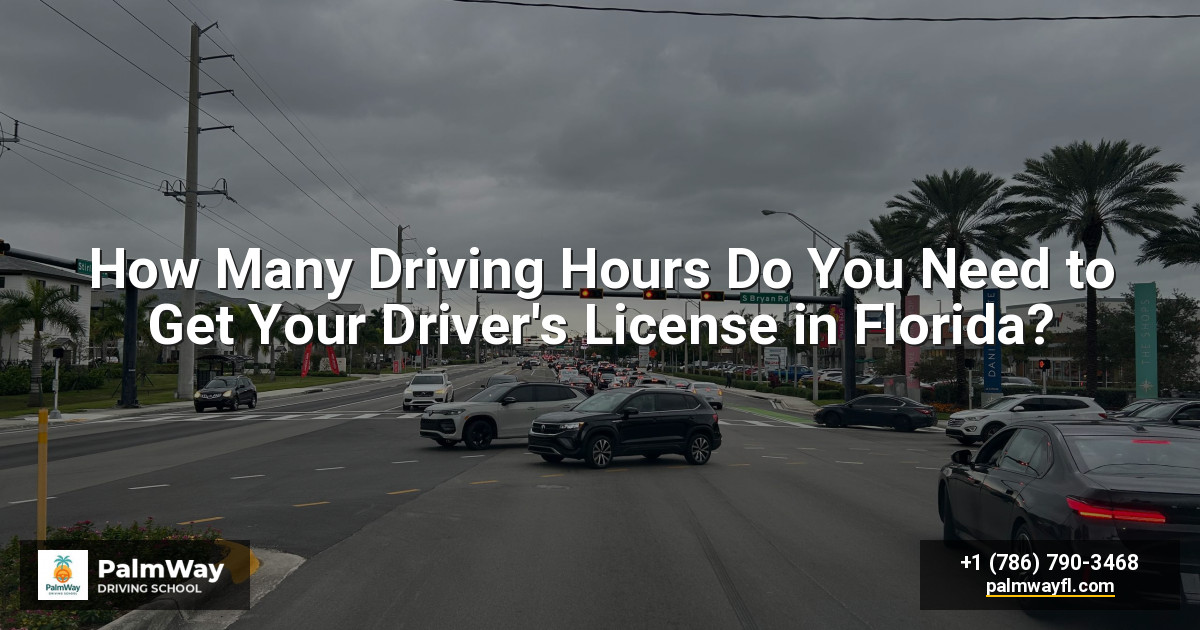 How Many Driving Hours Do You Need to Get Your Driver's License in Florida?