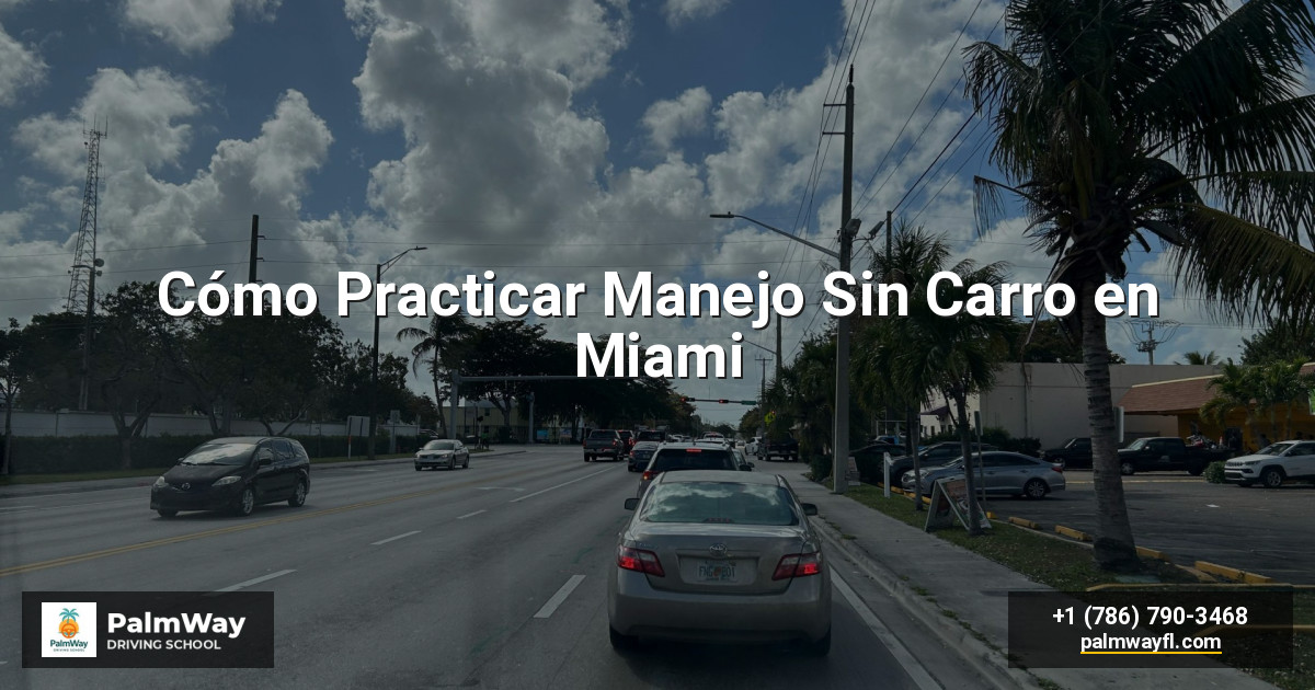 Cómo Practicar Manejo Sin Carro en Miami