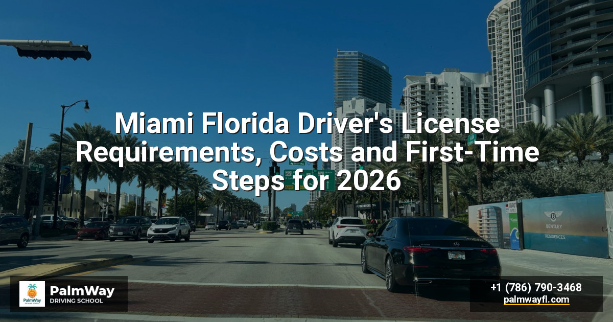 Miami Florida Driver's License Requirements, Costs and First-Time Steps for 2026